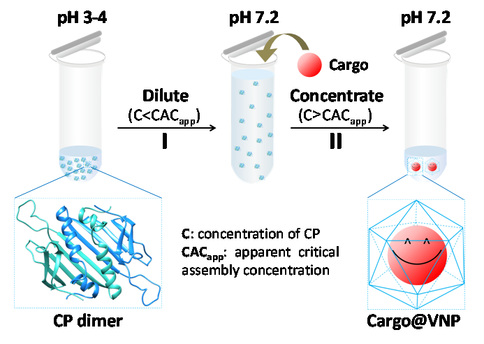 纳米机器人下载_纳米技术概念分类_纳米材料特性应用