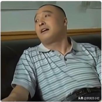 乡村爱情12演员客串名单_乡村爱情5全集下载_乡村爱情系列演员客串情况