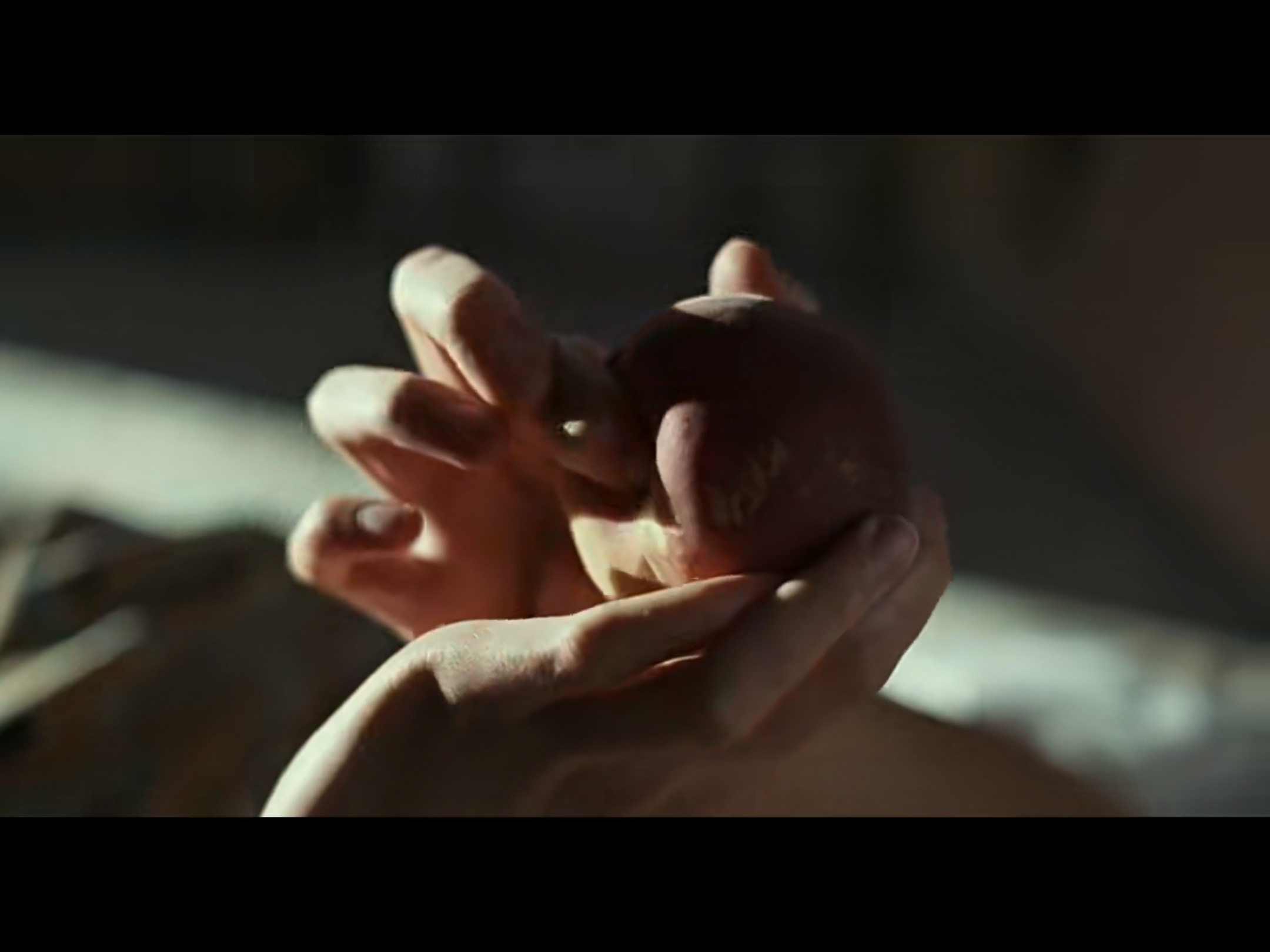 请以你的名字呼唤我 电影 安德烈爱西蒙_请以你的名字呼唤我 下载